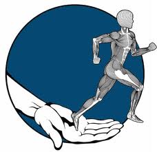 Physical Therapist